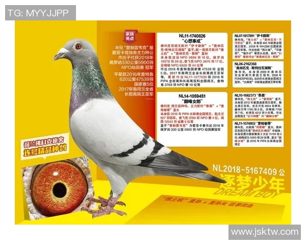 足球明星外号推土机背后的故事与传奇成就解析